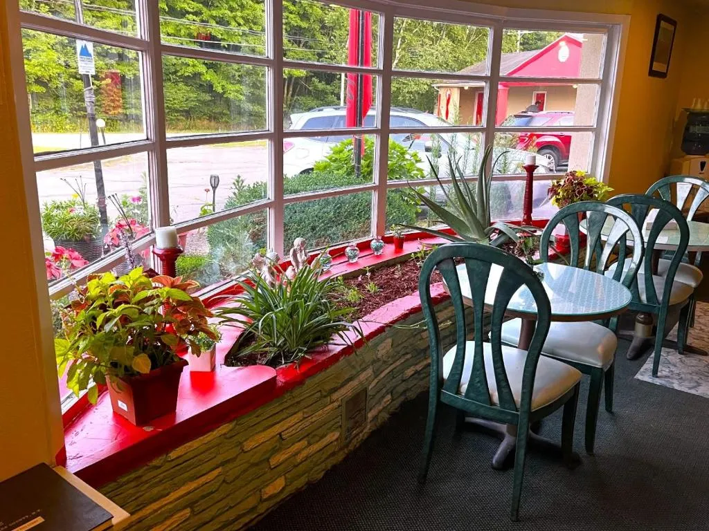 Buena Vista Inn Motel，位于Delhi的酒店