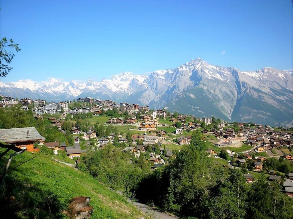 Apartment in Nendaz with paid sauna, Nendaz