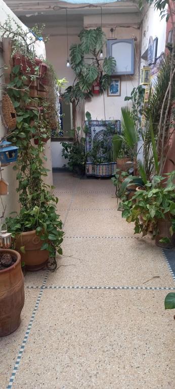 Studio Rmila 1, Marakéš