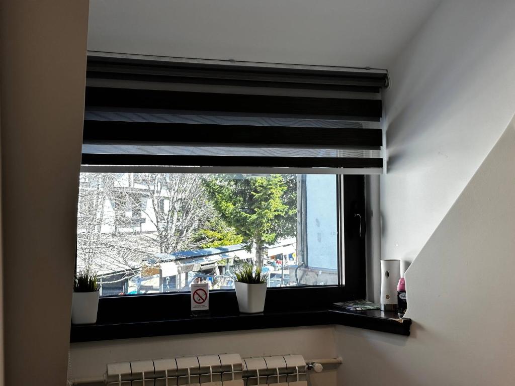 Konaci 25 Kopaonik - 5