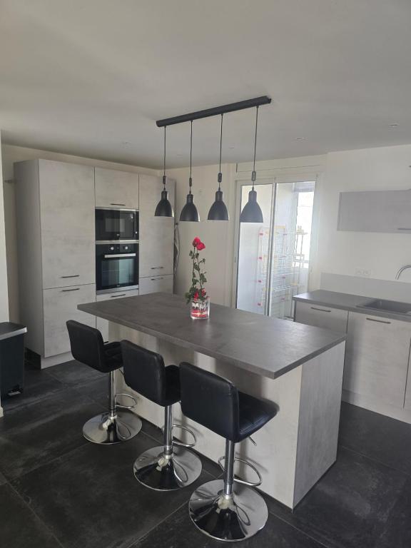 Le belle vu appartement T2 65m2 - 1