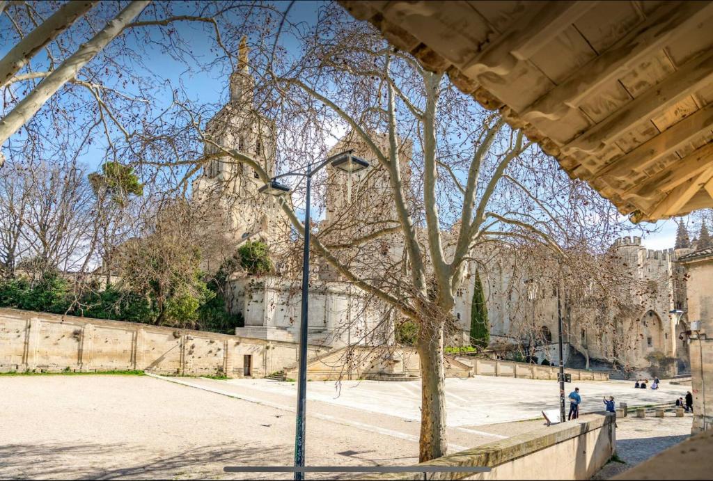 Papissime vue palais des papes clim parking - 3