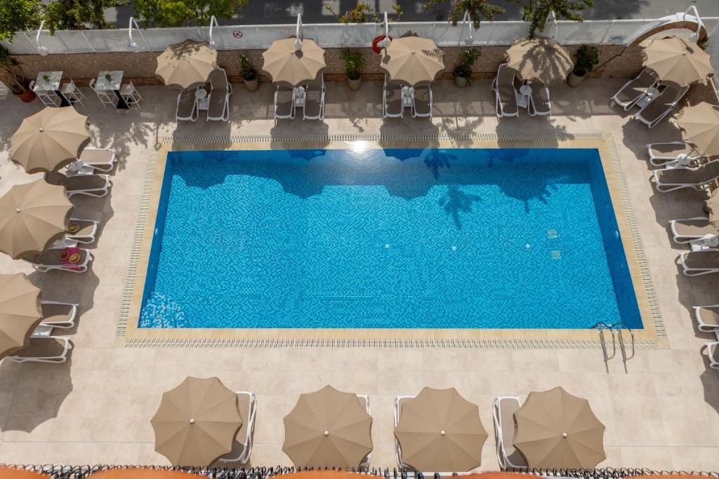 Cactus — Swimming pool in Larnaca, Larnaca Region