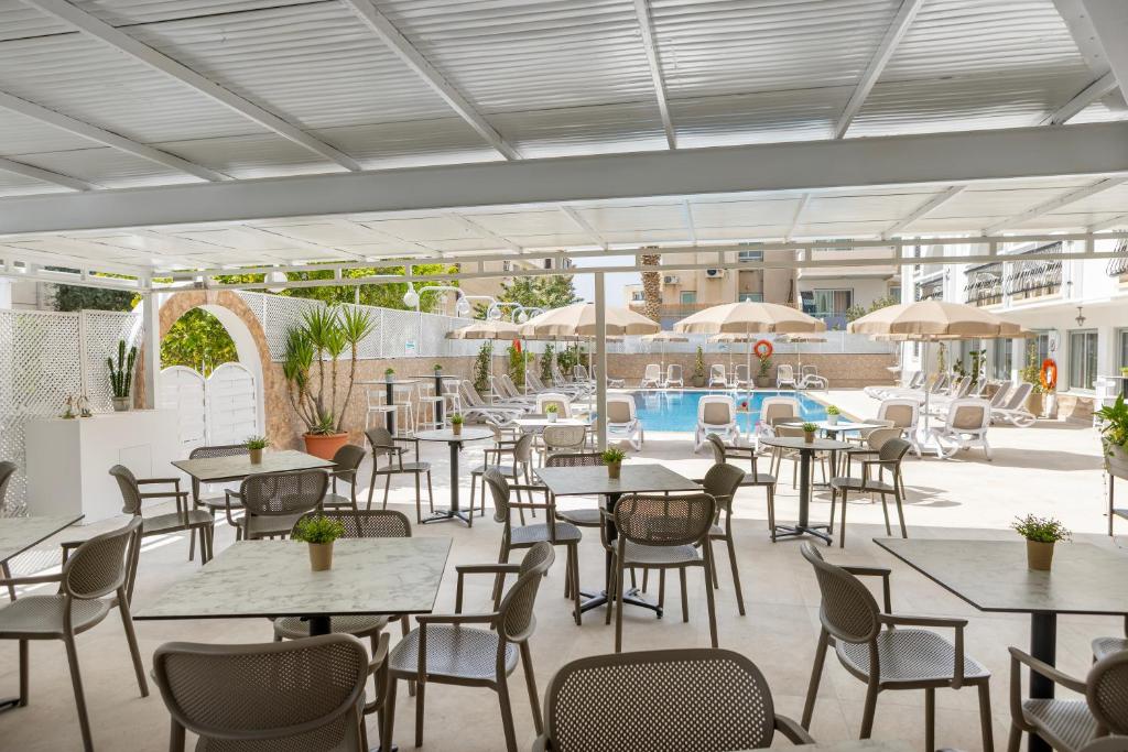 Cactus — Restaurant & bars in Larnaca, Larnaca Region