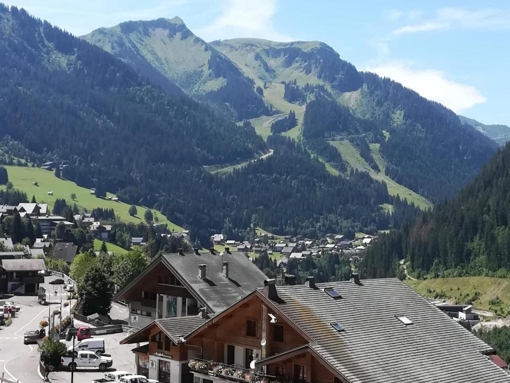 Apartment near centre Chatel with balcony - 4