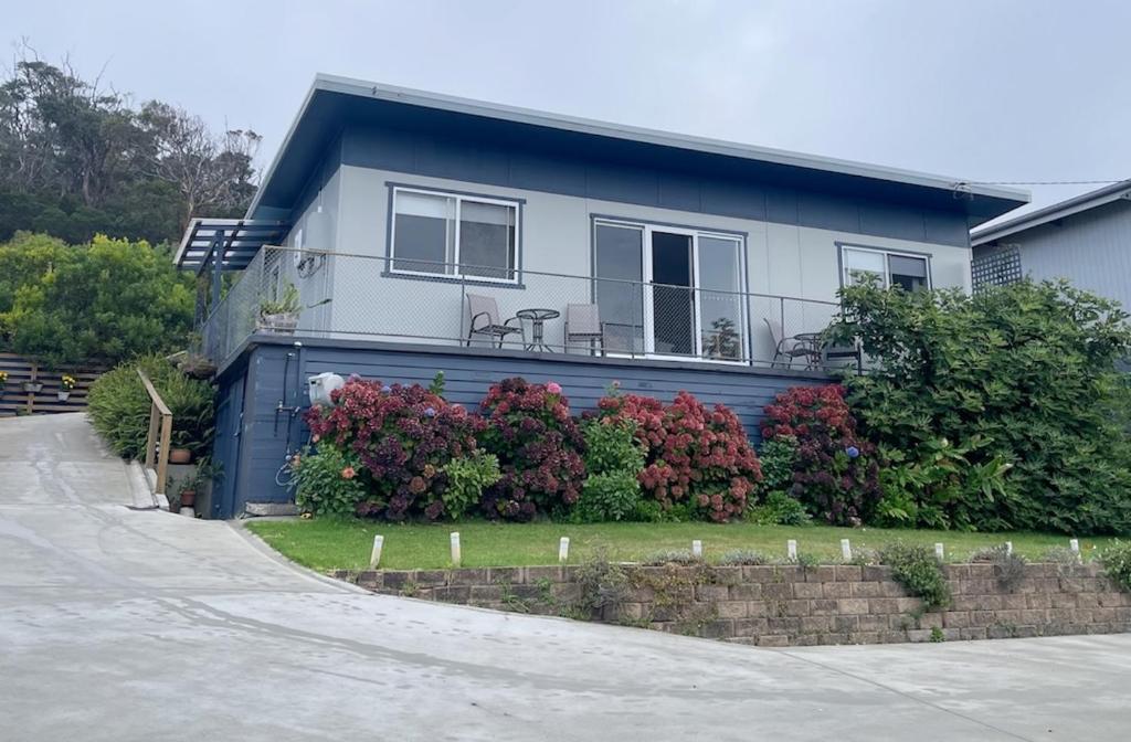 Up the Back, Bicheno