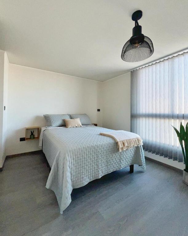 Moderno y acogedor departamento en el sector norte - 3