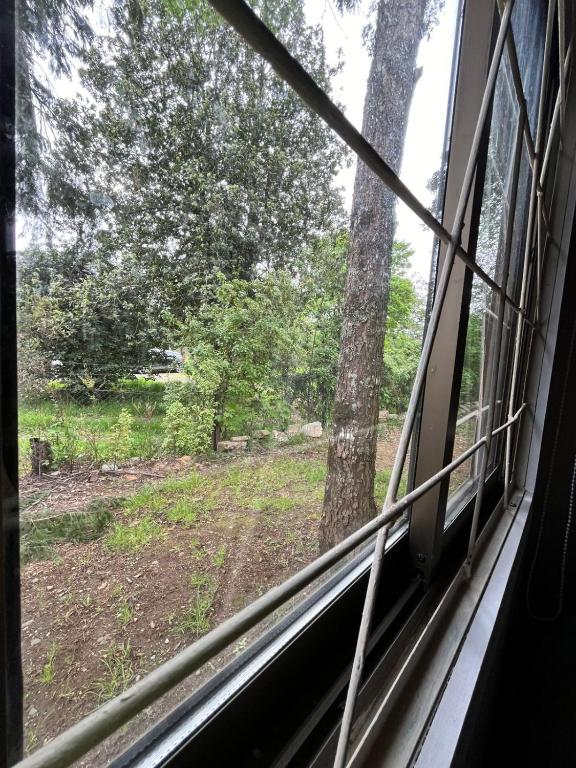 Cabañas en Valdivia - 4