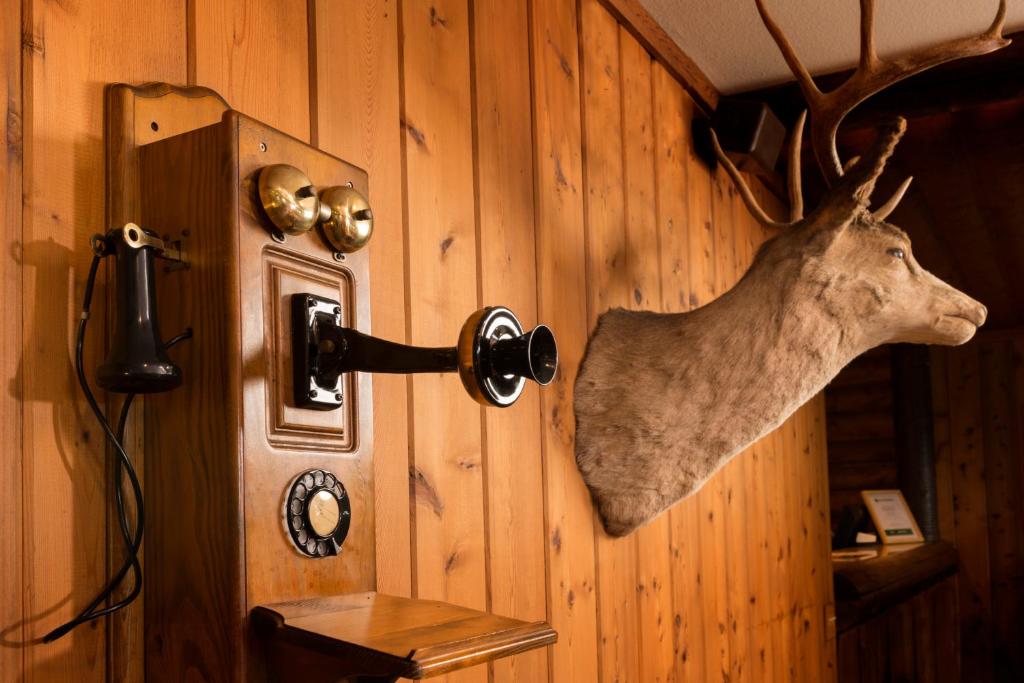 Ayres Lodge Alpine photo