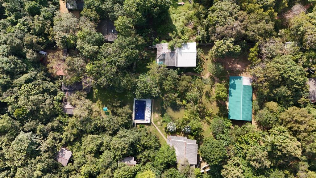 New Sigiri Kele, Sigiriya