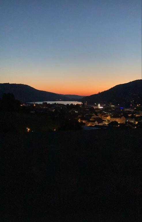 Les Tilleuls - vue sur le lac - 3 étoiles - 4