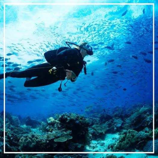 周辺観光スポット