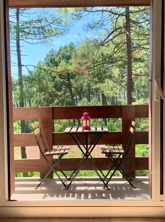 Appartement cosy au calme - Seignosse Les bourdaines - 2