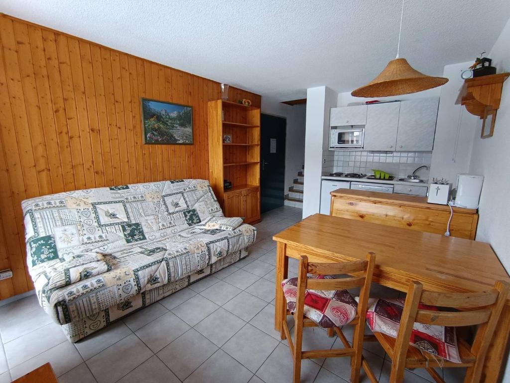 Grand studio ski aux pieds, lumineux et animaux acceptés - FR-1-445-116 - 1