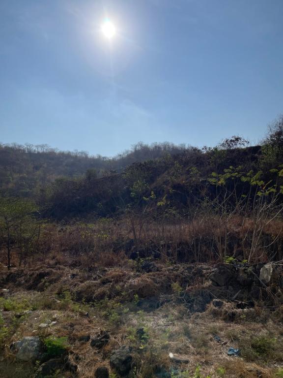 Surrounding environment