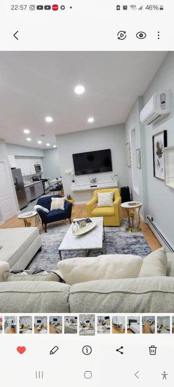 A Dazzling Destination, Brooklyn