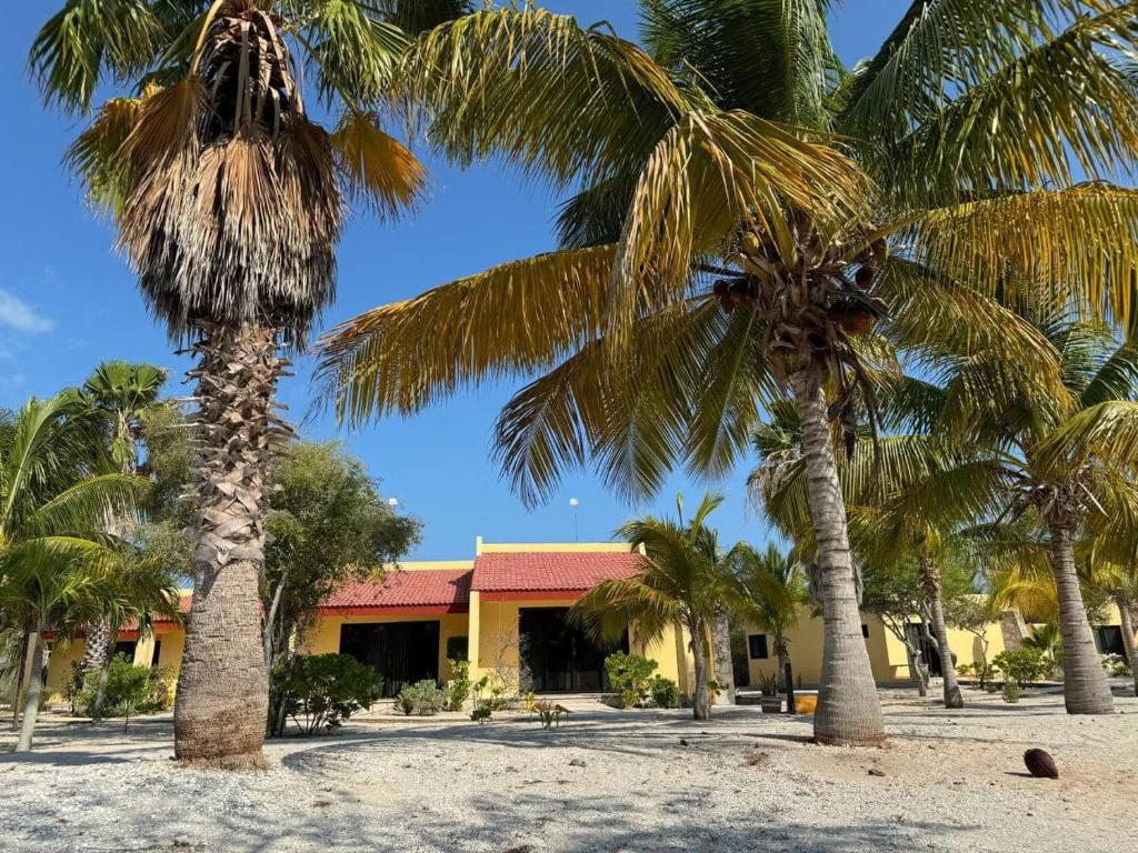 Beachfront department Celestun, Celestún