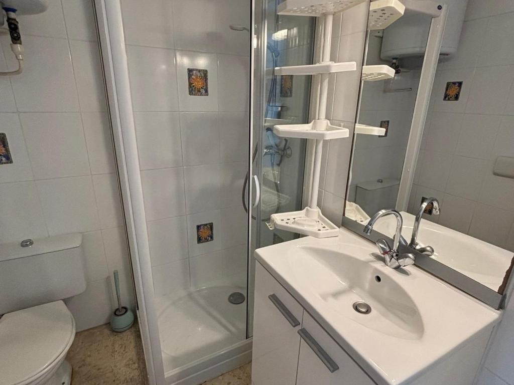 Appartement cosy face étang de Thau, animaux admis - FR-1-503-81 - 2