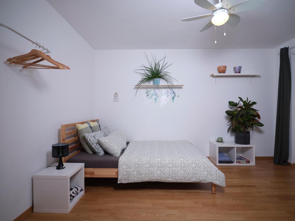 Doppelzimmer in der nähe des Flusses und Stadions, Basilej