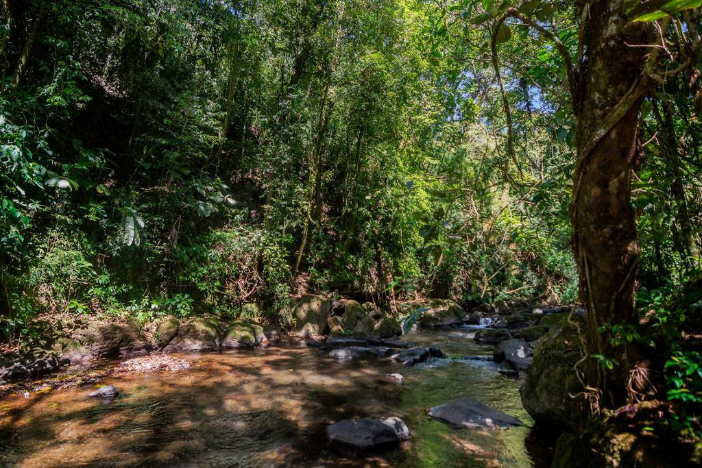 Surrounding environment