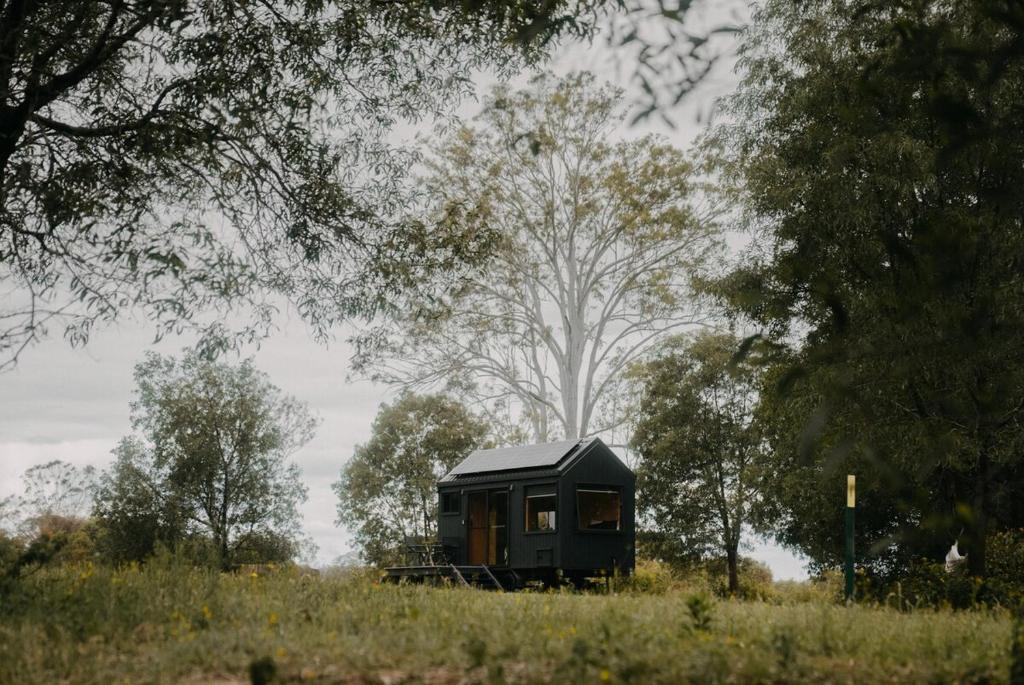 Secluded & Pet Friendly Cabin Deep in Nature - Cybele, Coleyville