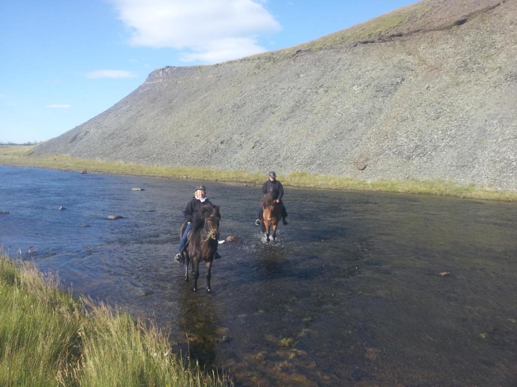 Horseback riding