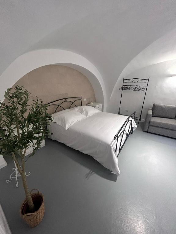 White Dome Retriet - 2
