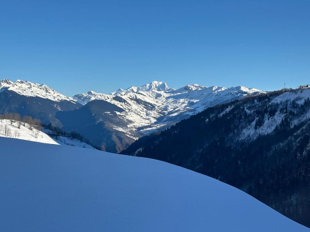 Les racines et les cimes - 1