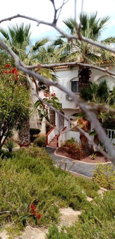 casa gran alacant carabassi - 4