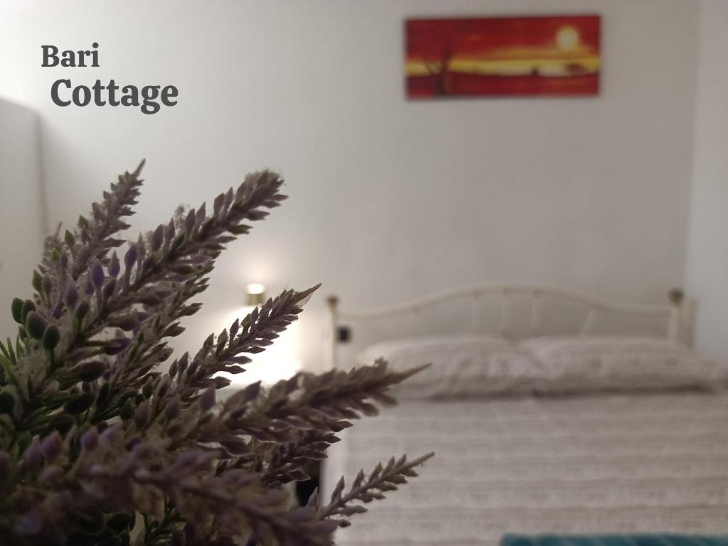 Bari Cottage - 1