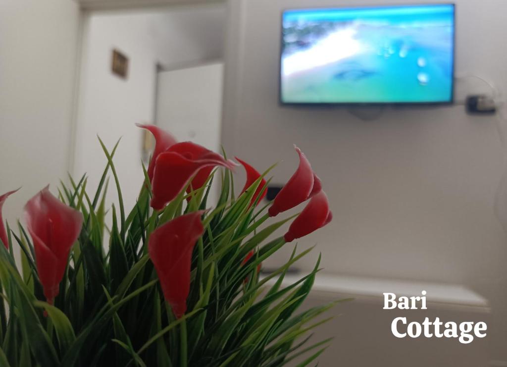 Bari Cottage - 2