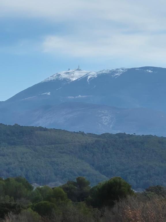 Appartement 80m2 entre vignes et Mont Ventoux - 3
