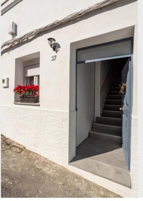 Casa Chano Estudio confortable Tenerife - 3