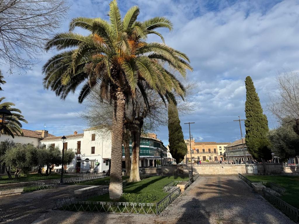 Casa Naranjo, Almagro