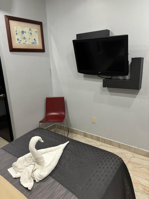 Hotel Diaz - 4
