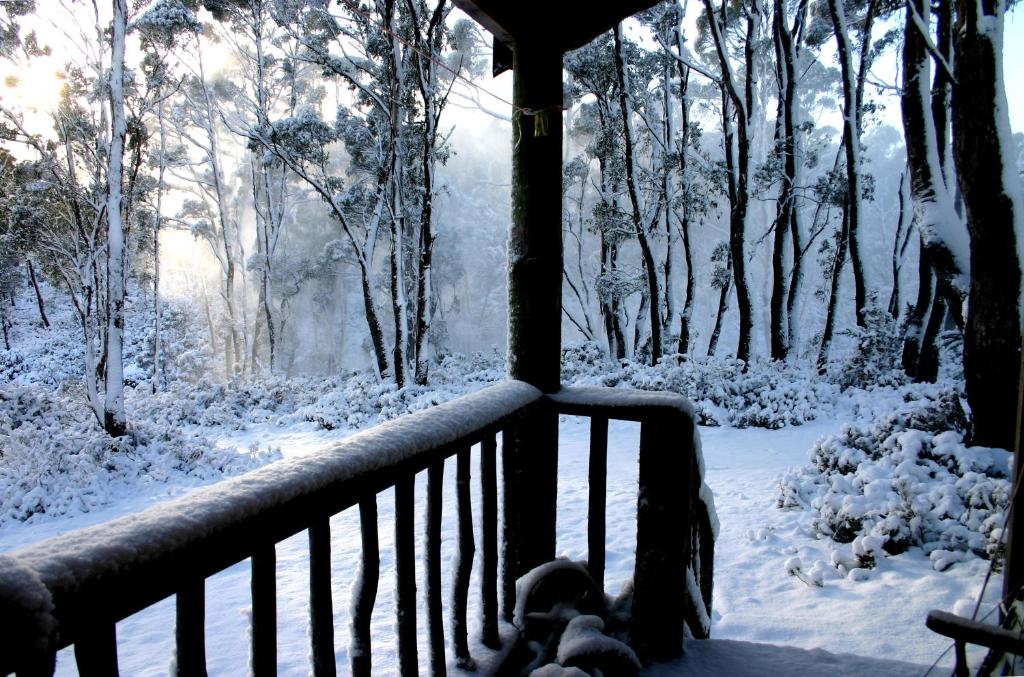 Wombat Cabin photo