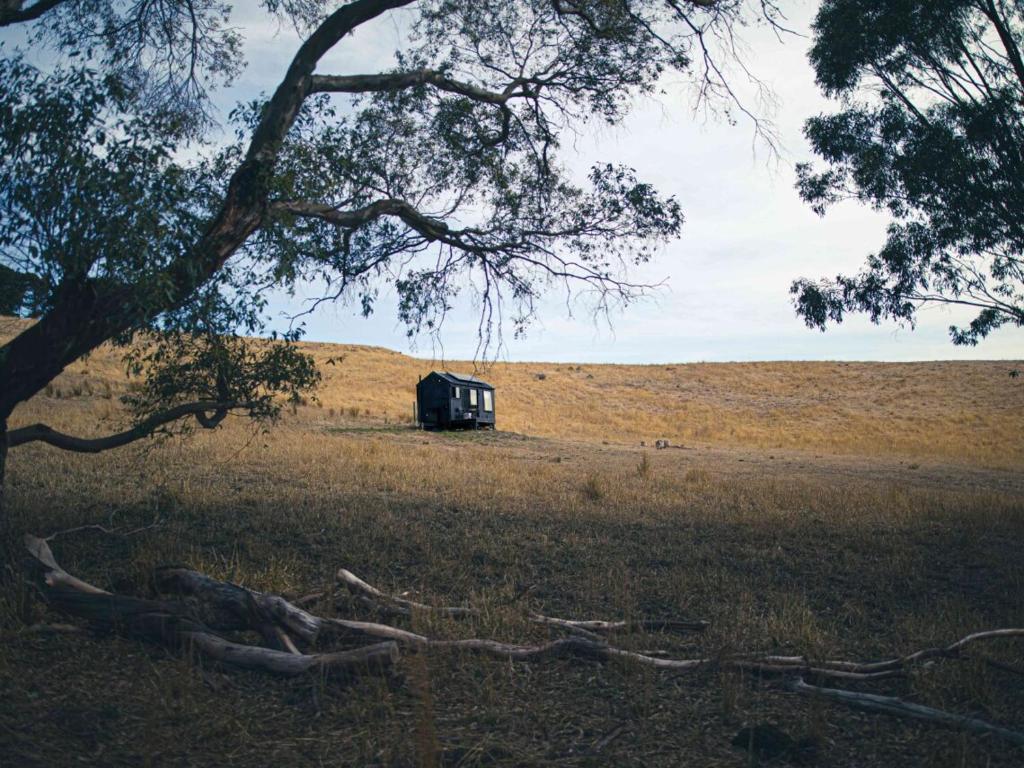 Off-Grid Cabin Nestled in Nature - Pet Friendly - Ottessa, Springfield