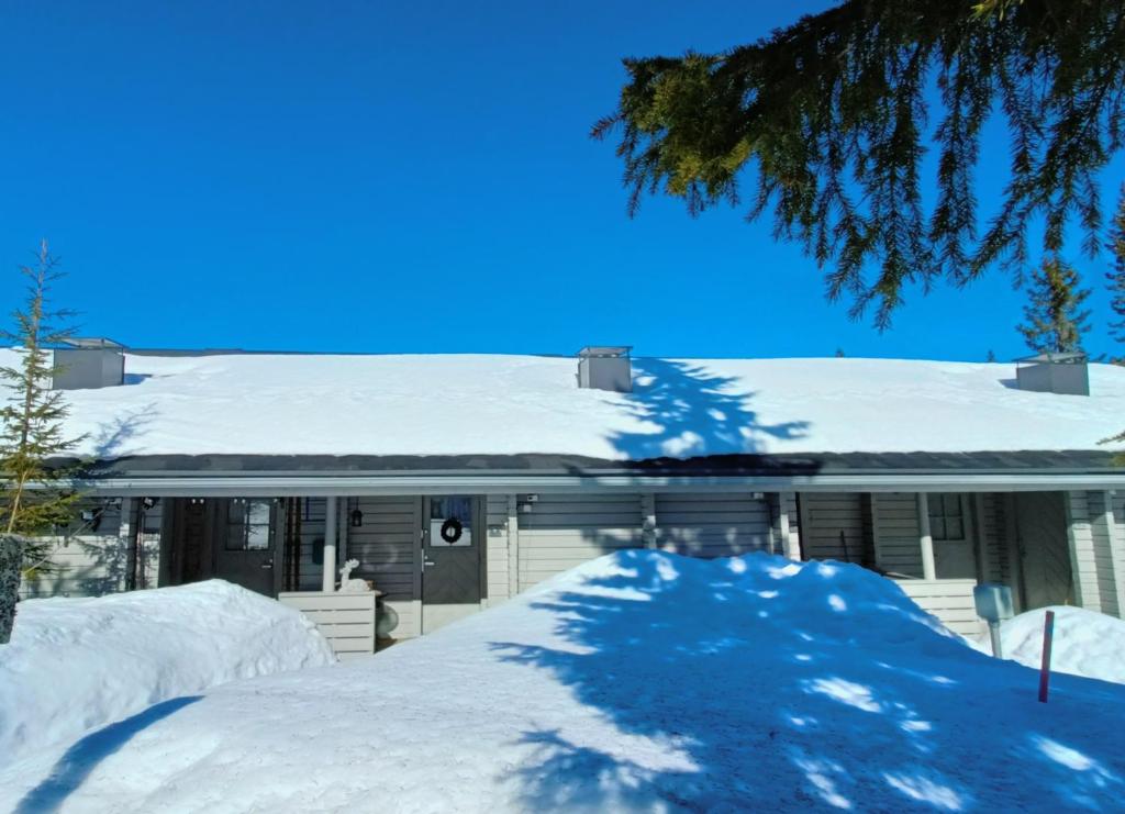 Lupposyöte B4, Syöte