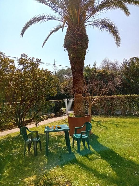 villetta le palme - 2