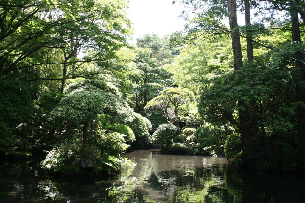 Surrounding environment