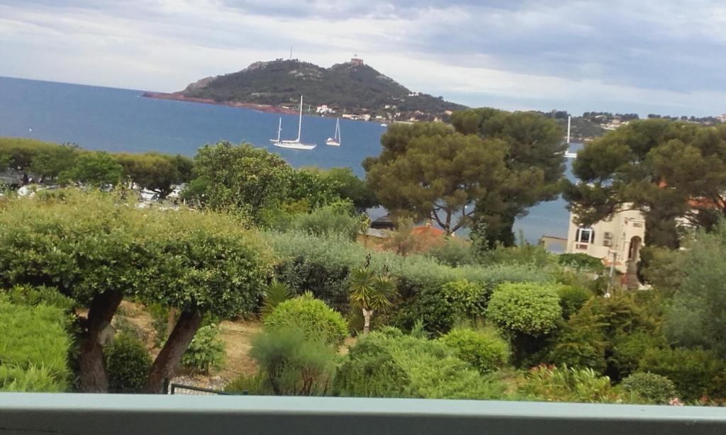 appartement vue mer piscines parking LES CORAUX AGAY PLAGE - 3