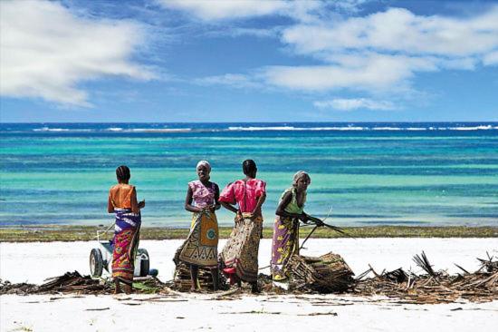 Diani Hostel photo