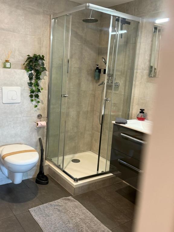 Appartement Strasbourg Centre - 5