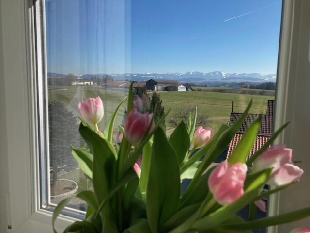 Ferienwohnung Schele - 4