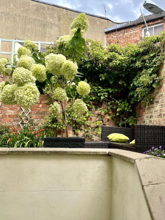 Stylish Garden Apartment, Cheltenham photo 8