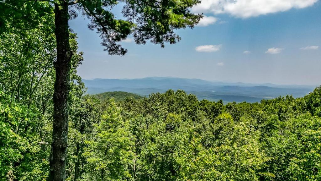 Appalachian Sky - Scenic Mountain View Cabin in Big Canoe, Jasper