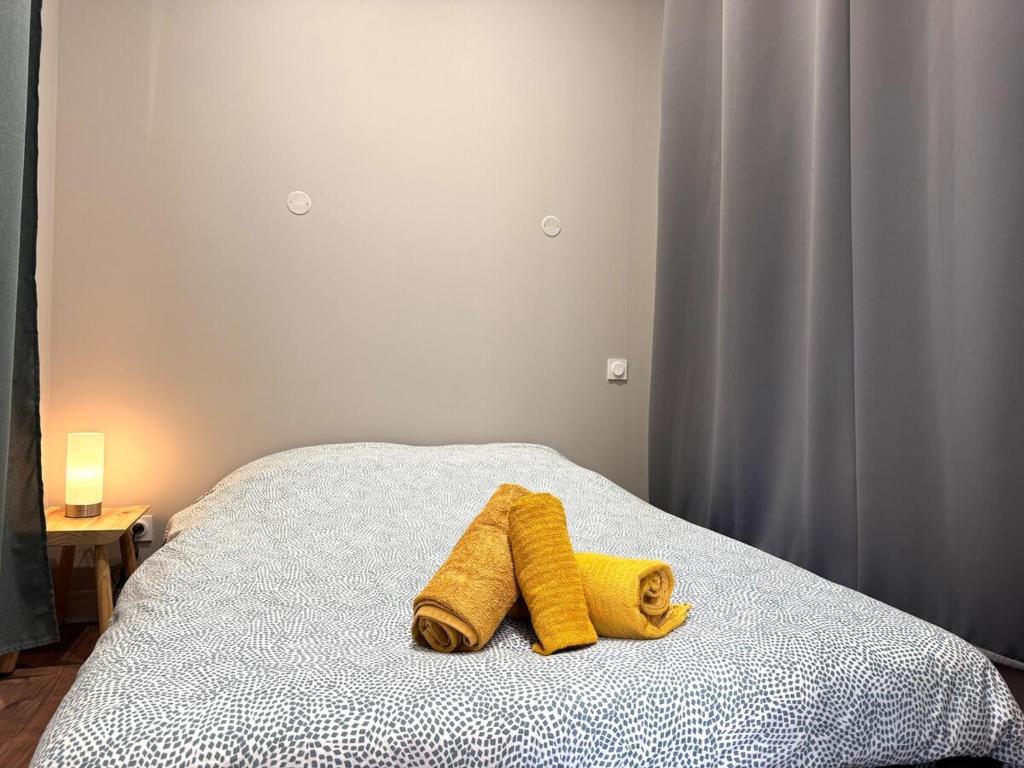 Appartement agréable proche gare - 5