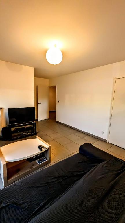 Appartement Lyon 7 - 5