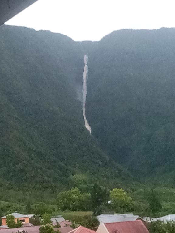 One, La Plaine des Palmistes