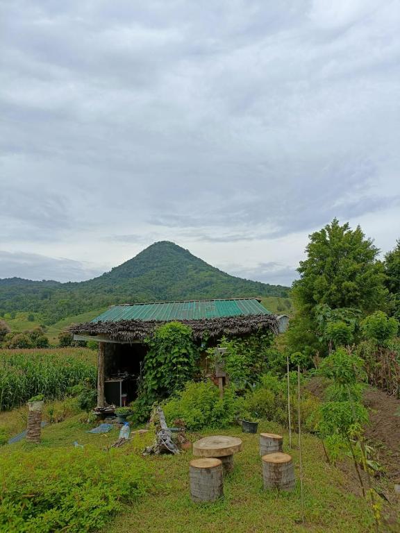 Tiny House Balas, Maluk